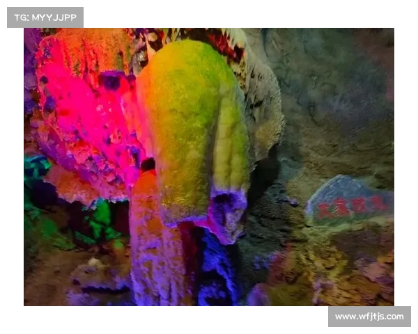 鹤观岛奇妙冒险之旅探索神秘景点与自然奇观的完美融合