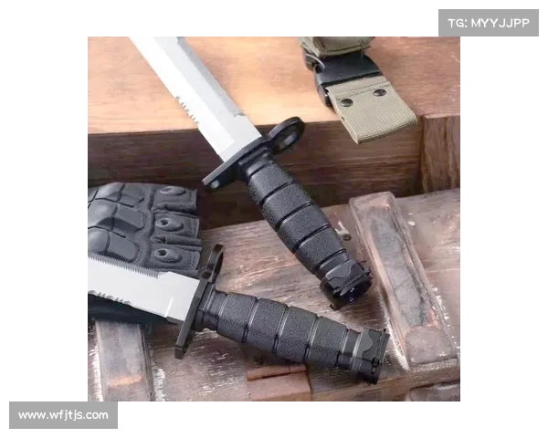 精通作战利器解析顶级辅助装备排行助你战术制胜