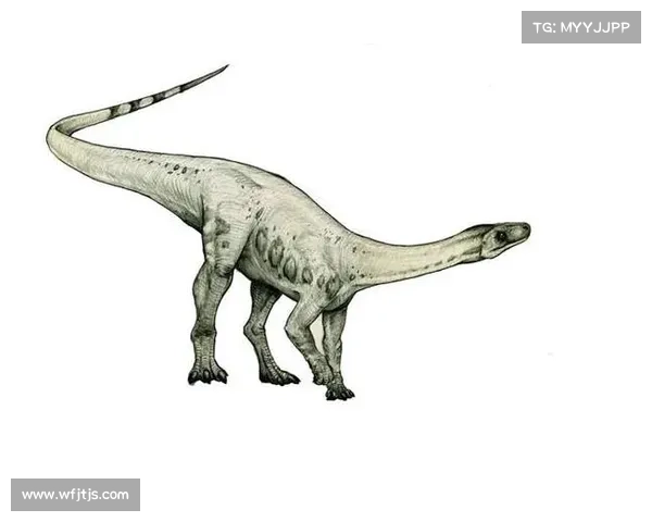 马的脚趾结构解析与其他动物脚趾的差异及其演化适应性探讨