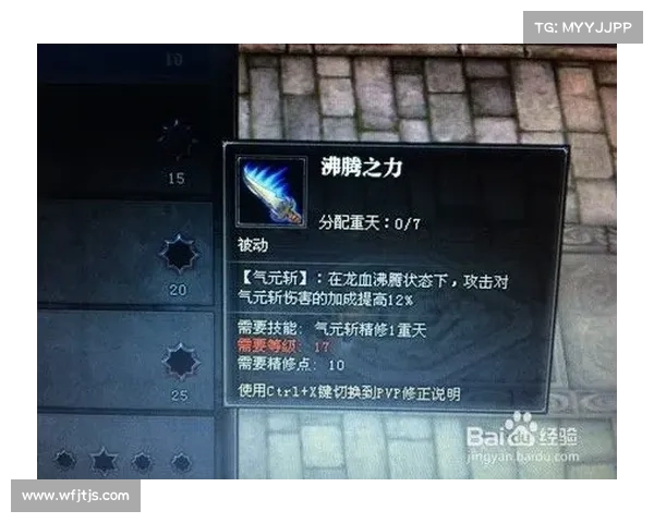 最强斗战神龙女刺客技能搭配与装备选择全面解析