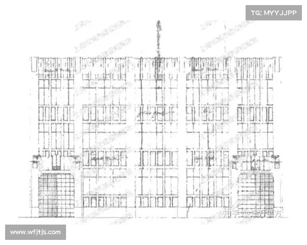 全方位深度解析了解澳洲杯赛事水平的关键构成与核心评估要素指南