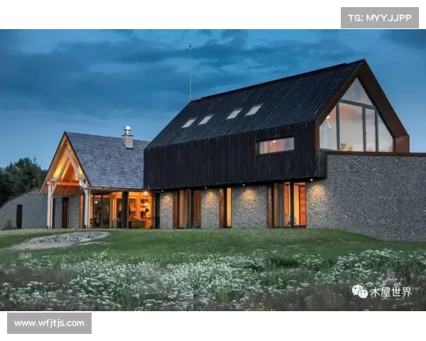 巴黎圣日耳曼豪购策略的可持续性分析与未来挑战 巴黎圣日耳曼豪购策略的可持续性分析与未来挑战