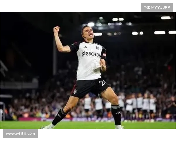 帕利尼亚冬窗转会分析：双向奔赴与拜仁的深度解读